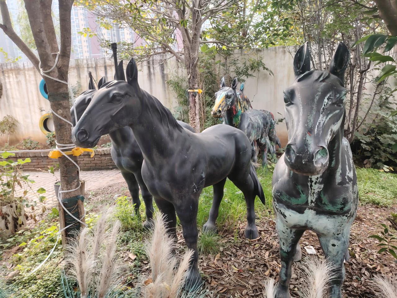 小杨和校长的老婆吵架了，吵架之后她非常什么害怕，她在想
校长会不会开除我，
会不