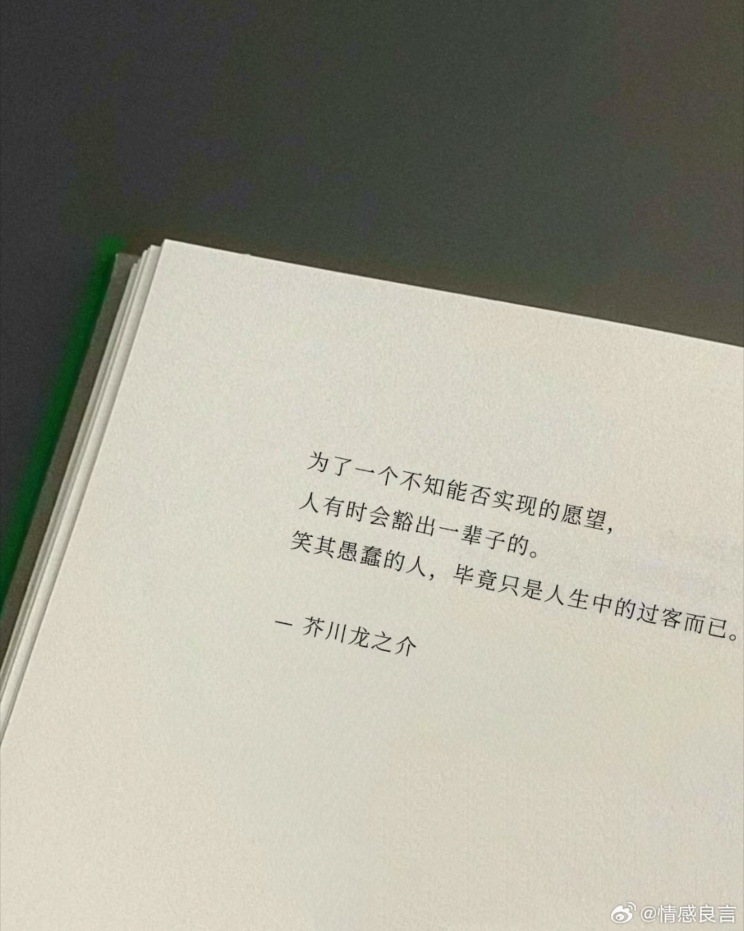 为了一个不知能否实现的愿望，人有时会豁出一辈子的。笑其愚蠢的人，毕竟只是人生中的