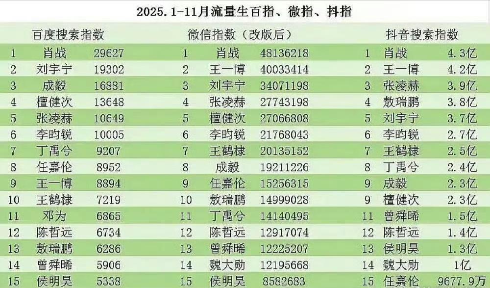 2025年1-11月流量生百指，微指和抖指汇总 
