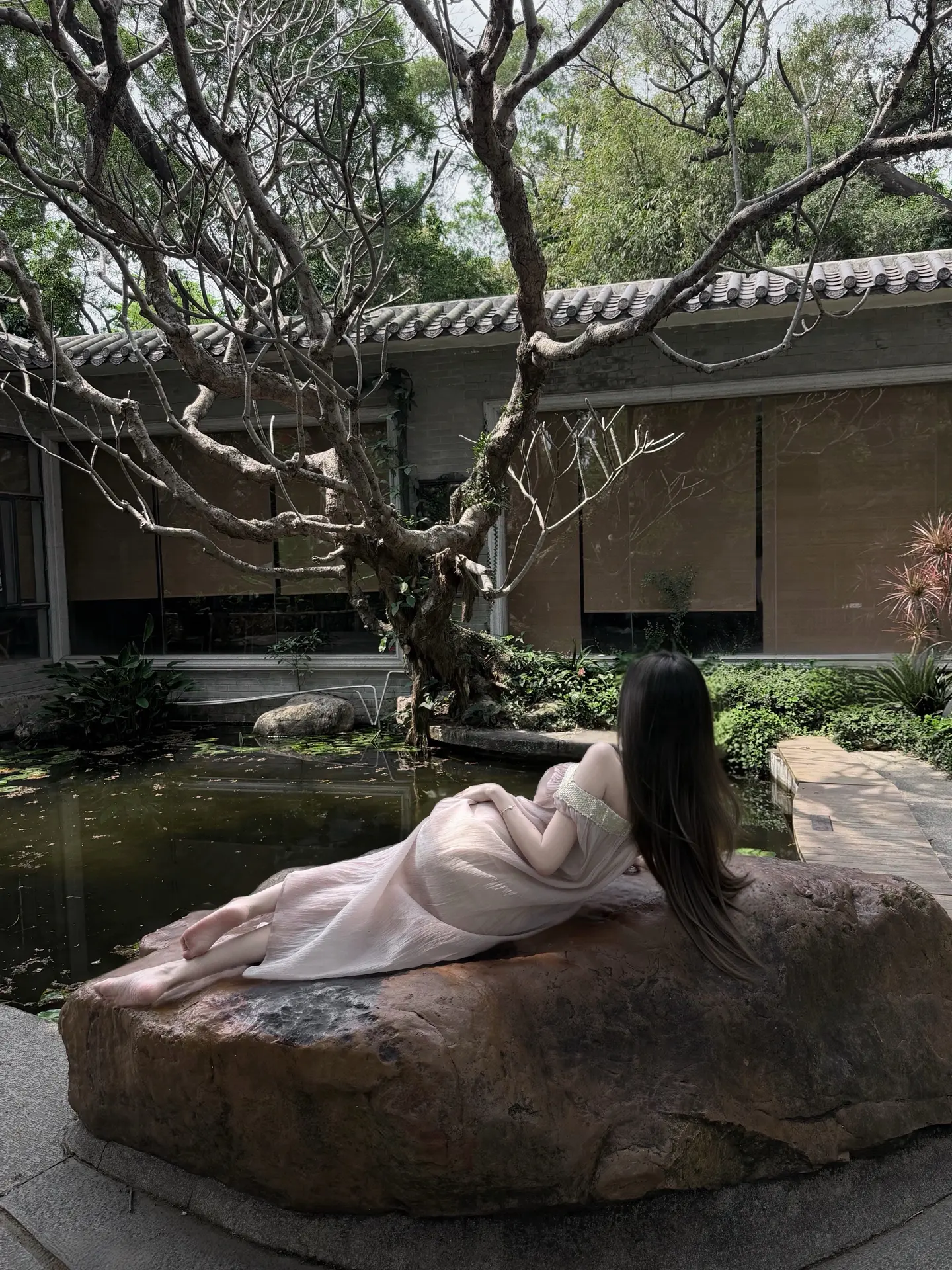 枯木逢春