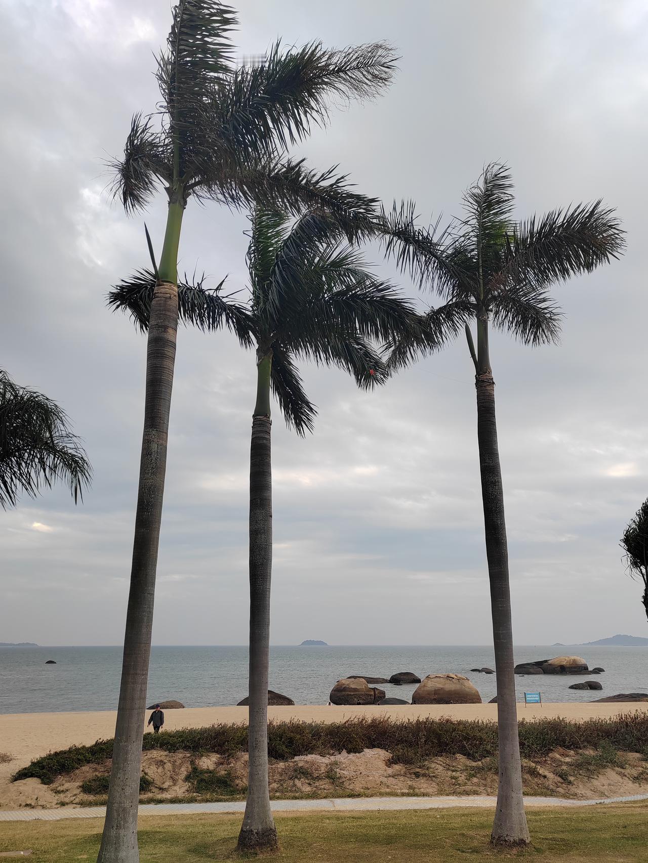 发一张照片证明你去过厦门最美海滨城市