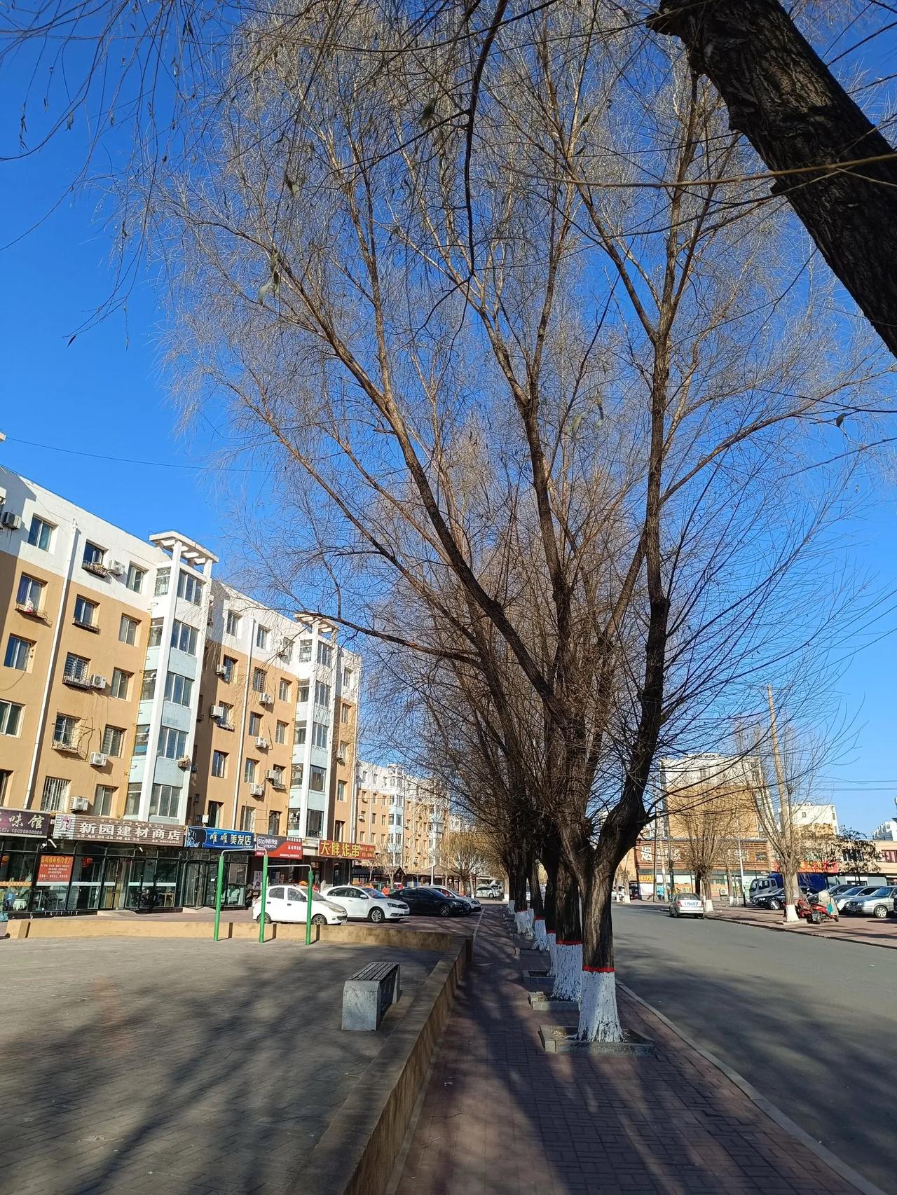 阜新鹤岗这样的北方城市买房，最好还是供暖期去买，看看屋里供暖好不好，不然很可能买