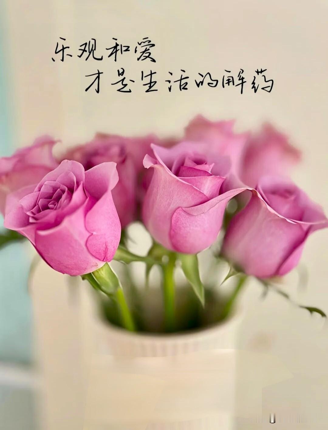 人到一定年岁，终会卸下讨好世界的疲惫，不再费尽口舌去辩解，不再执着于统一所有人的
