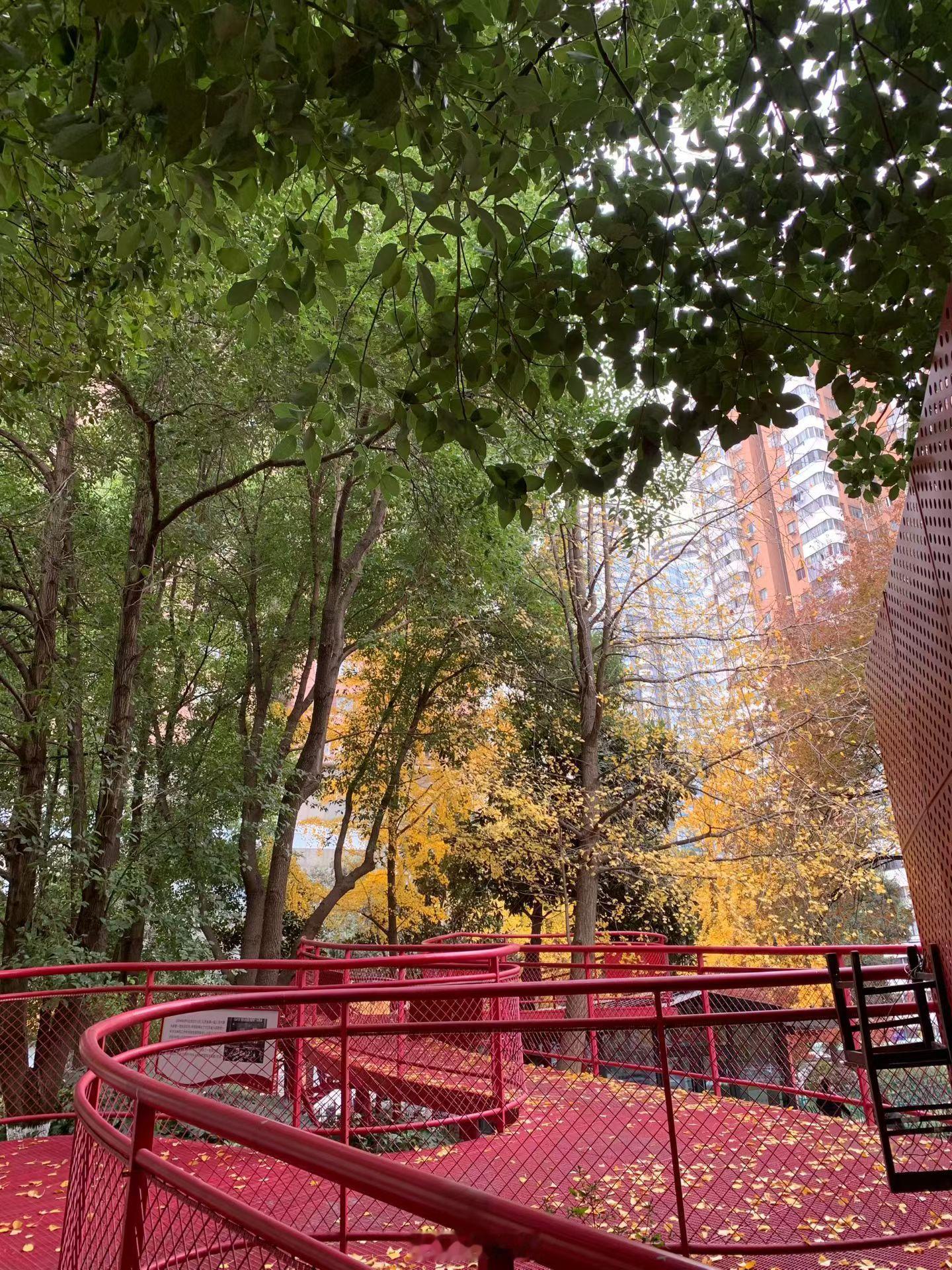 清醒是光，洒脱是风，不困于过往，不惑于将来。愿你脚步生风，心向苍穹。周末愉快