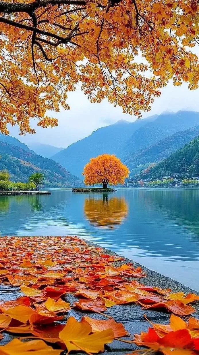 #用一张照片展现秋色##美丽的秋天，# #秋天的色彩如画# #秋天的照# #赏美