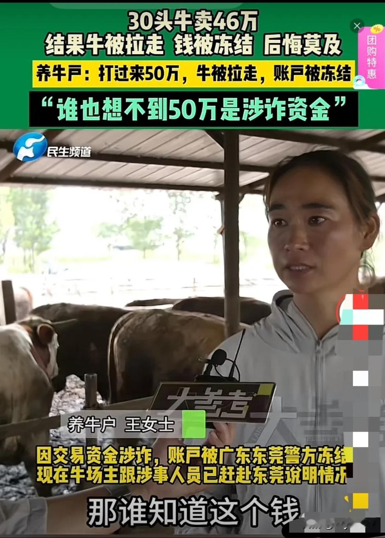 河南开封，一养牛户卖了30头牛，对方打过来50万元，说多退少补。养牛户让对方拉走