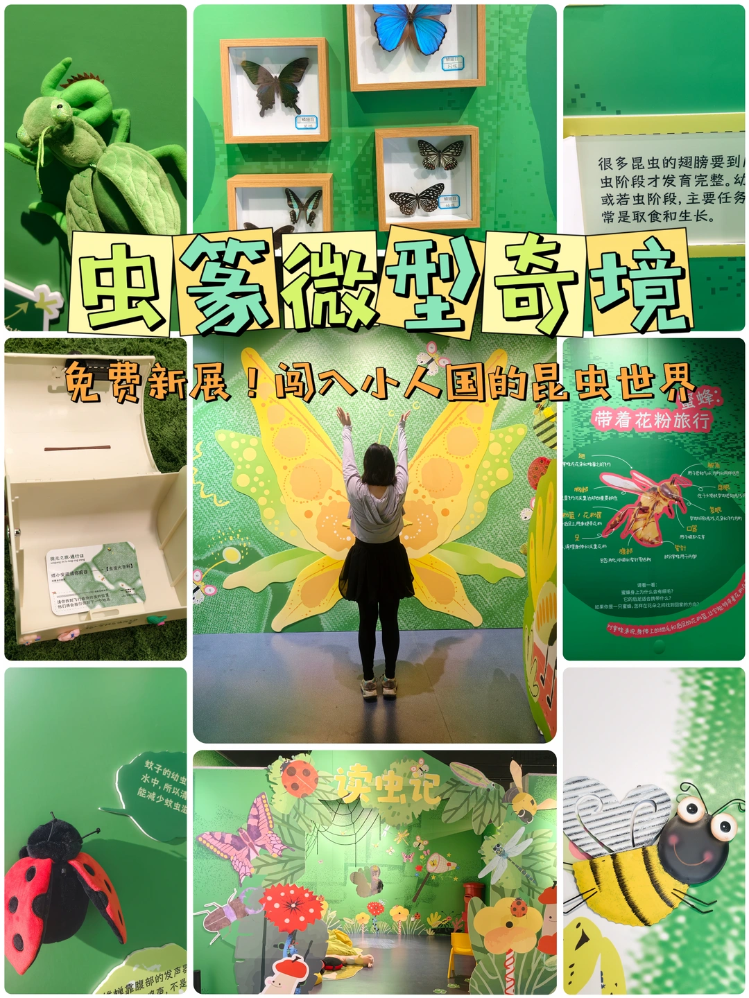 虫篆微型奇境游园会🦋闯入小人国昆虫世界