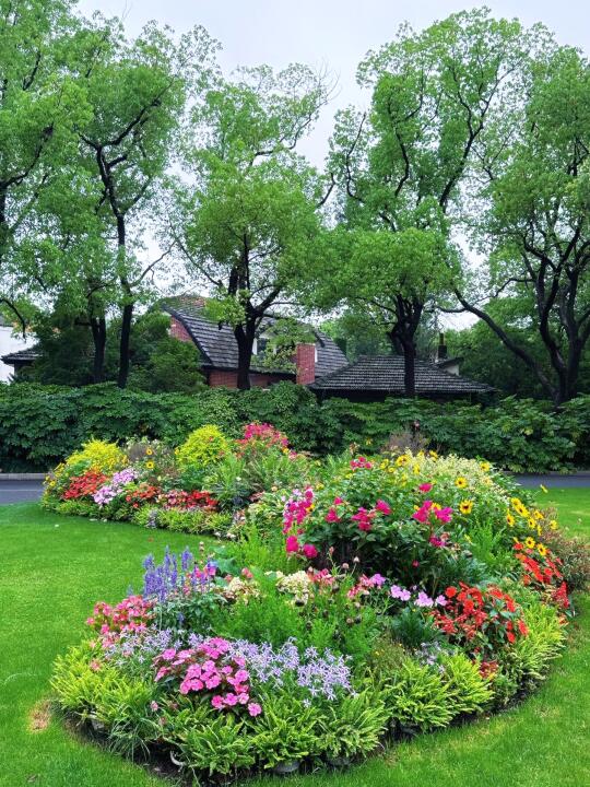 初夏花园💐上海免费开放的国宾馆🍃绿意嶙嶙