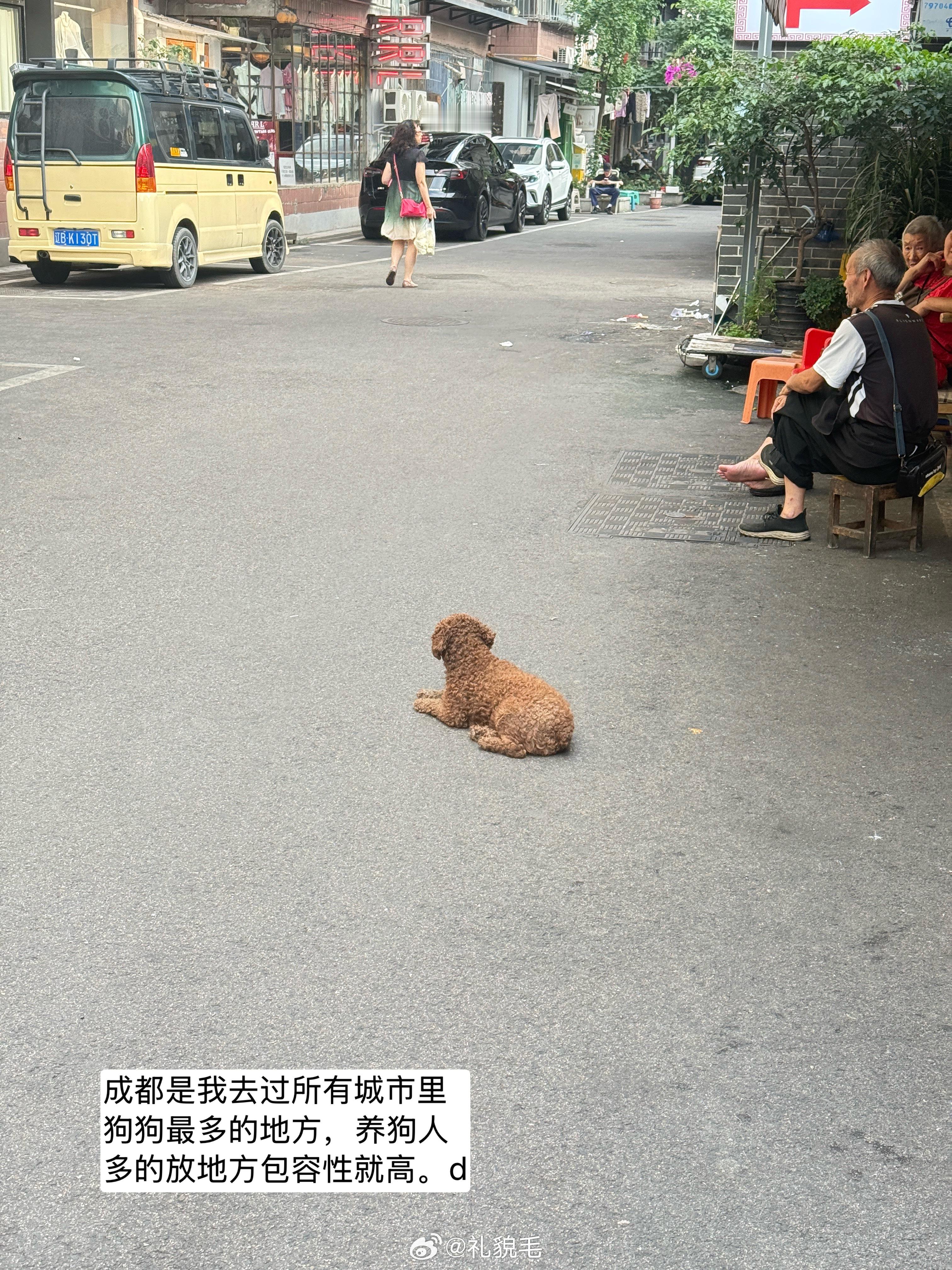 成都：一个可爱的地方，full of 可爱的人们。 