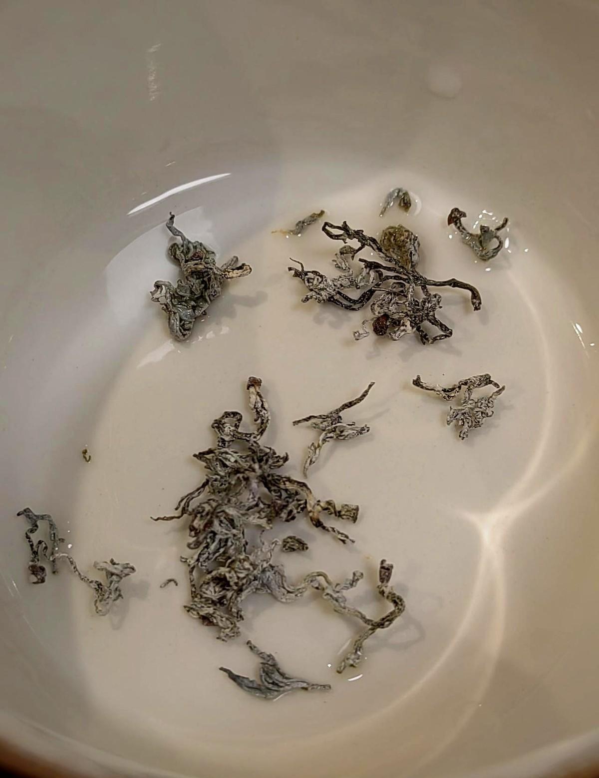 手链断了，不是坏了，是它跟你同步呼吸了两年。
珍珠会变色，不是玄学，是它在你体温