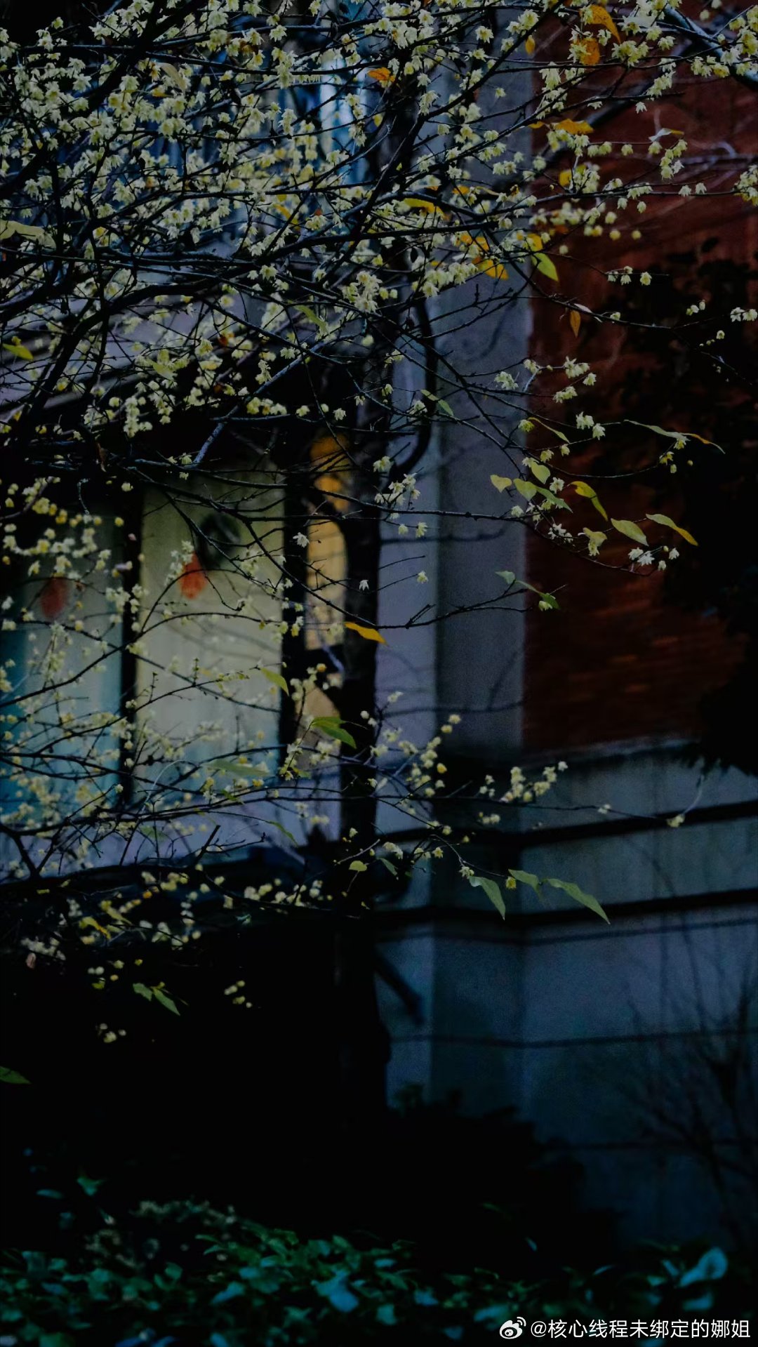 男子回应连续15年为妻女买黄金这个男人太棒了坚持买黄金每年几万块存了15年看来我