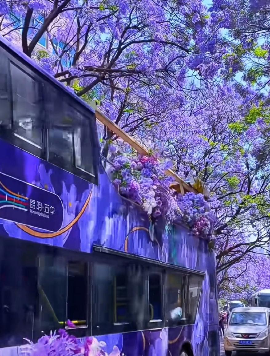 日行一善，让做好事成为一种习惯，让帮助他人成为一种自觉。
每天把自己做的一点点善