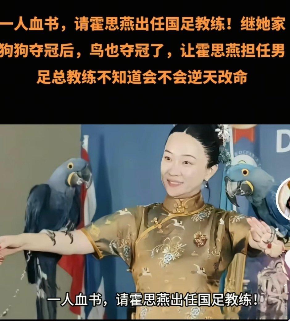 继霍思燕家狗狗夺冠后她养的🐦也拿了冠军好多人让她去当男⚽主教练