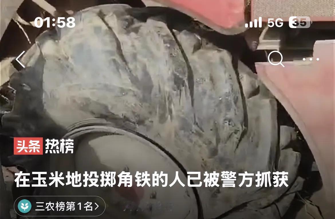 哈尔滨一村庄玉米地出现尖锐角铁致农机车胎被扎5点让人很气愤！

1.恶意破坏农业