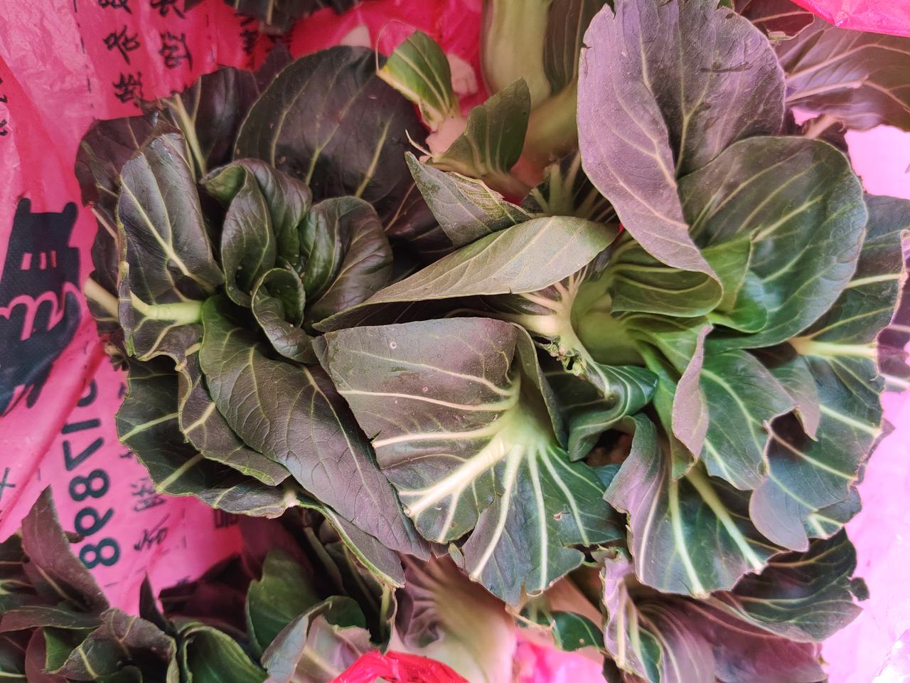 这种菜在杭州叫青菜，也叫矮脚青，油冬菜。在浙江人的餐桌上神一般的存在，冬季不可缺