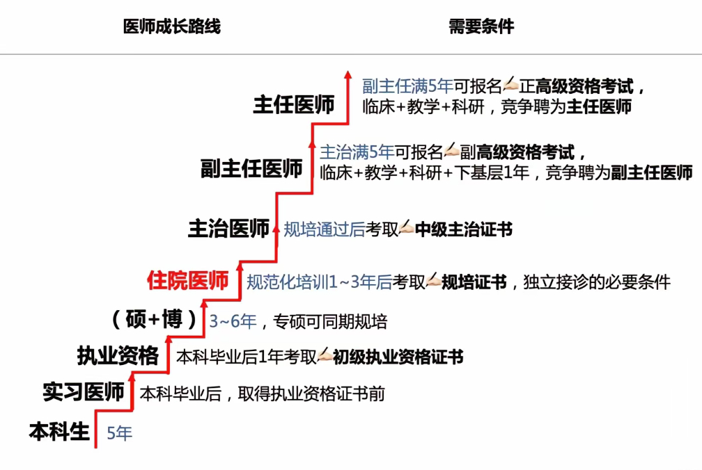 为什么建议挂专家号就挂副主任医师简单的说就是：号多，上进，性价比高。👩🏻⚕️