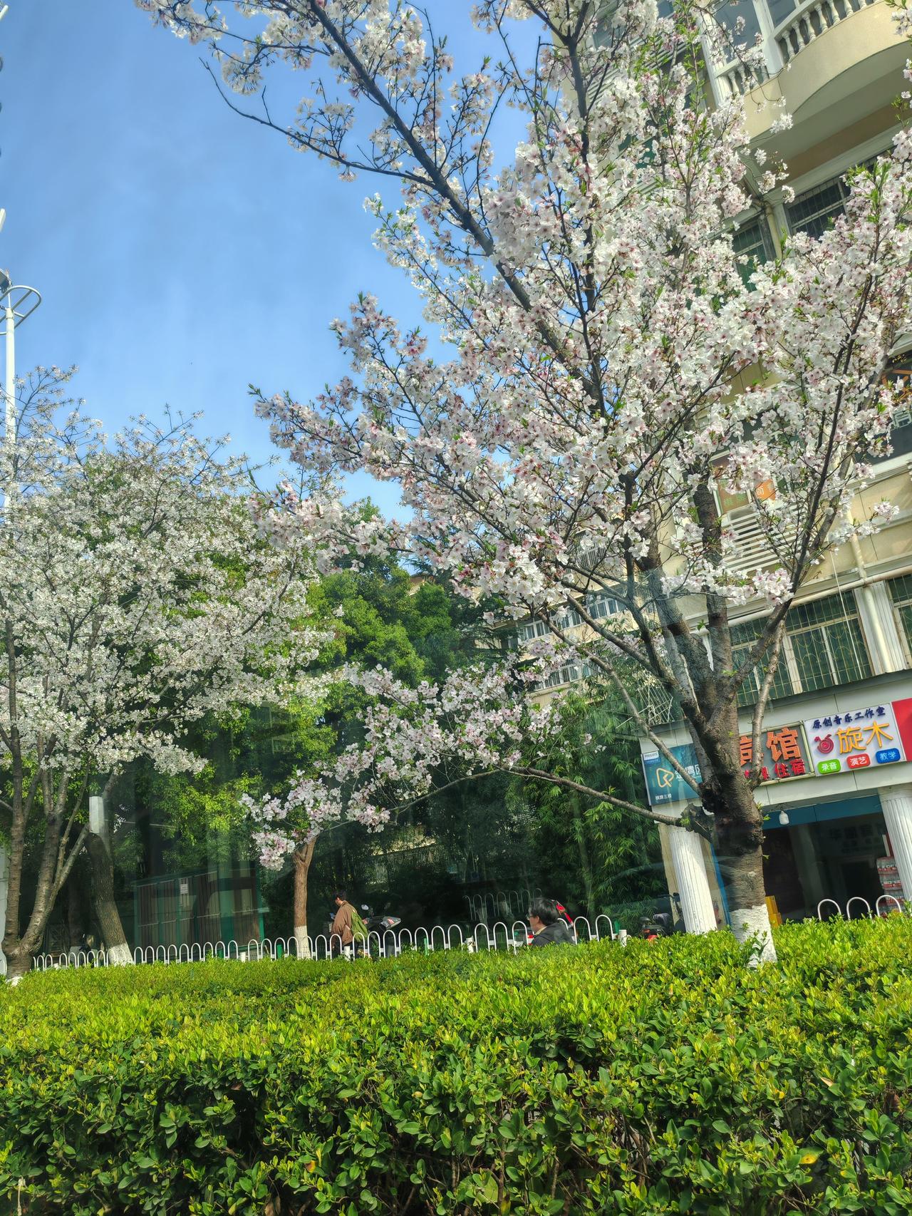 罗技这次翻车，是因为官方账号发布了一条极具侮辱性的广告，把消费者比作“狗”，引发