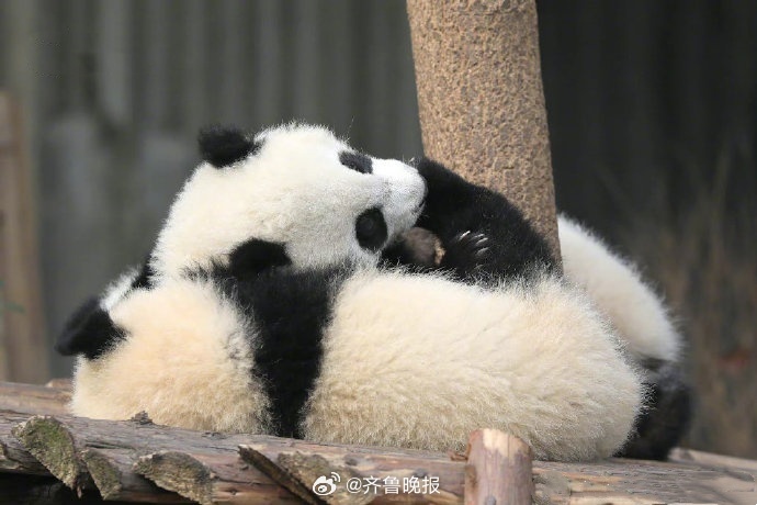 这世界太吵闹，你要把自己照顾好。#晚安# ​​​
