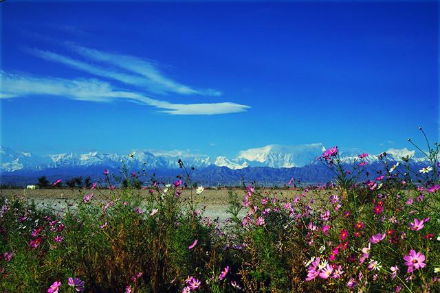 一个学生家长跟我说，今天晚上我跟孩子商量一下，然后给你回复，绝大多数厉害的家长肯