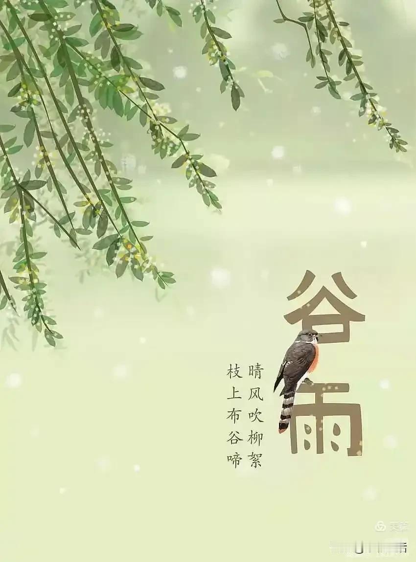 #春日生活打卡季# 
                 谷雨

雨生百谷气温升，