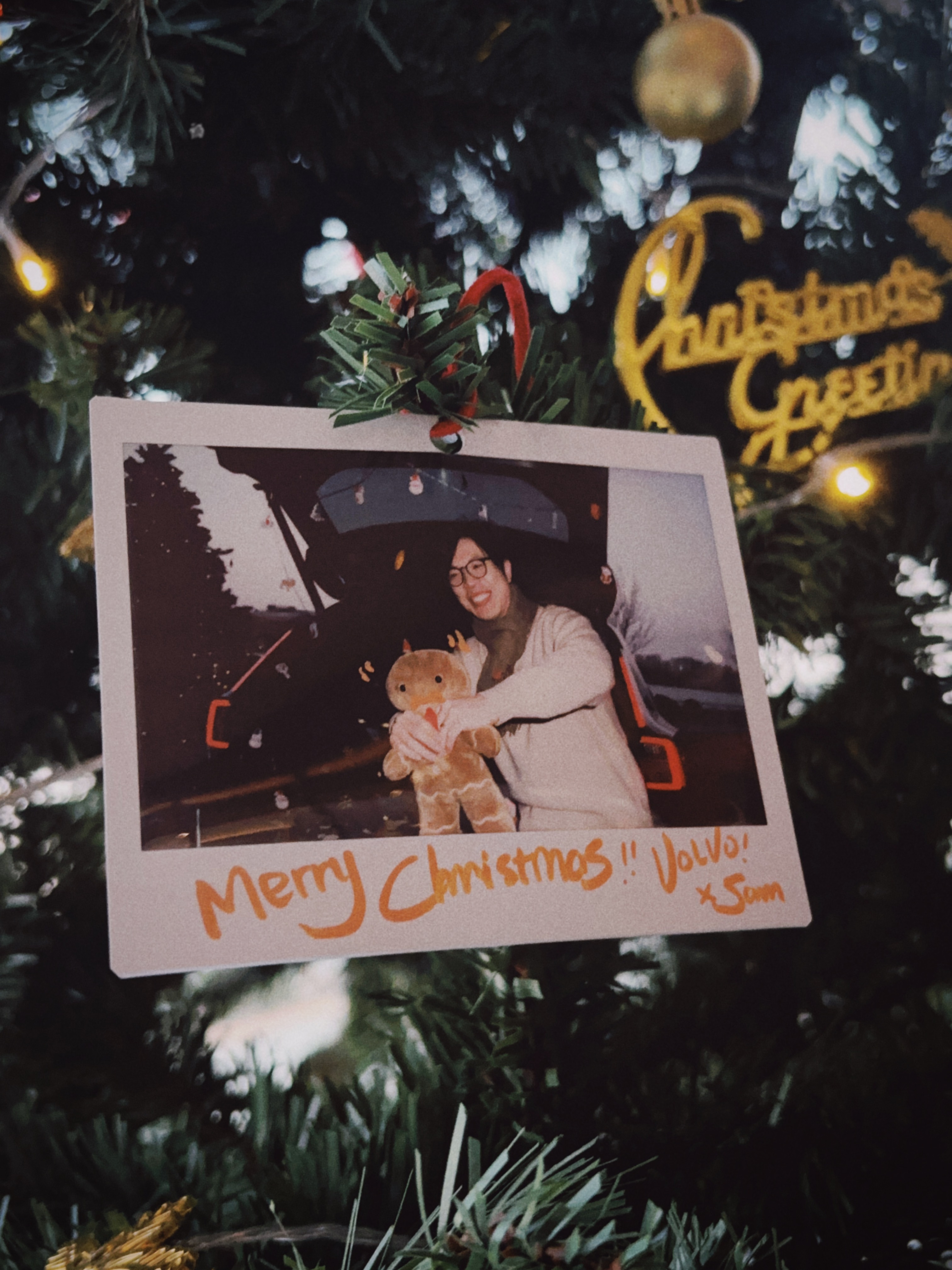 圣诞快乐🧑🎄！提前说一句！ 