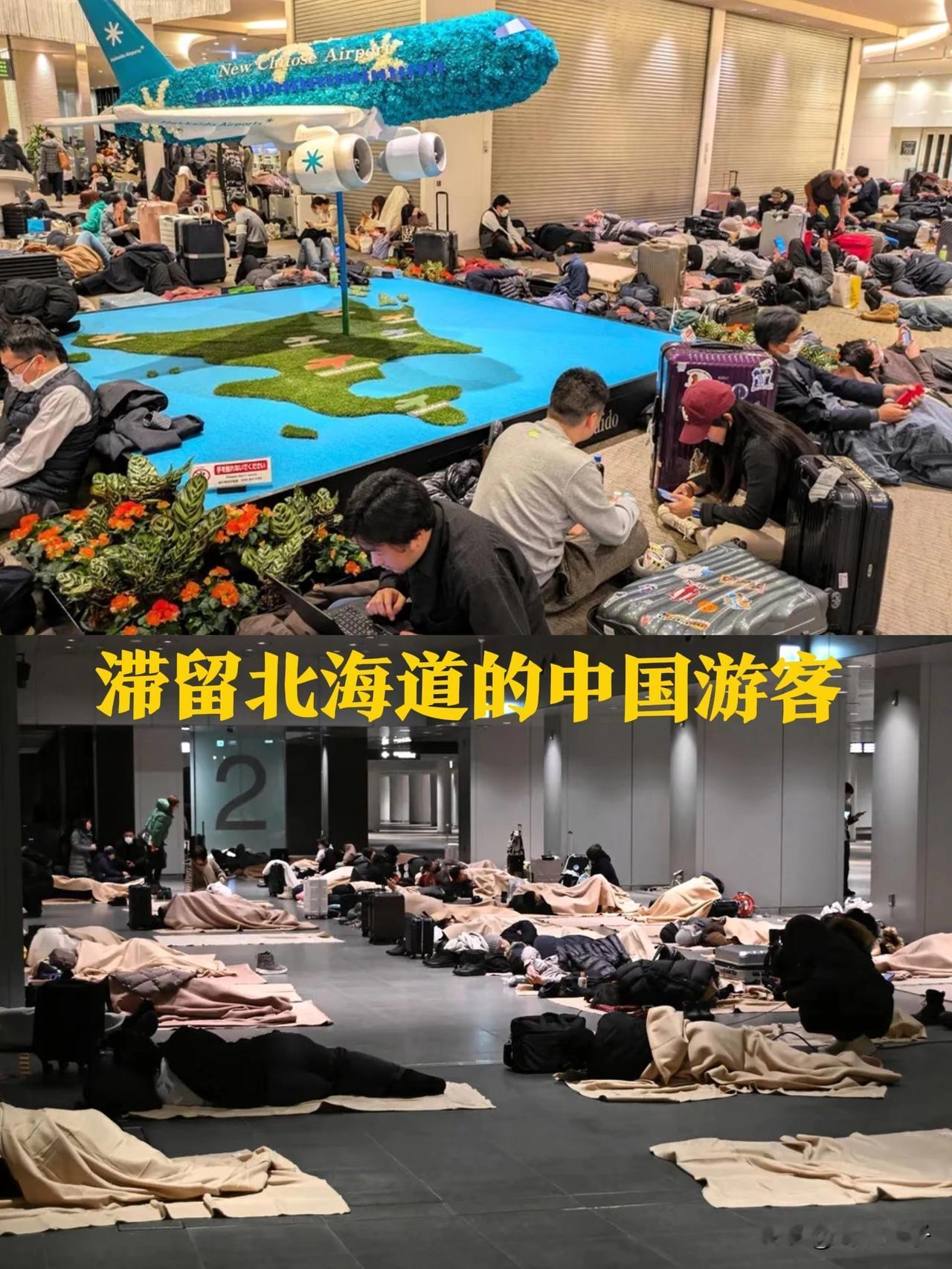 这日本咱就非去不可吗[6]？
2026年北海道机场这出戏，把我给看乐了[偷笑]。