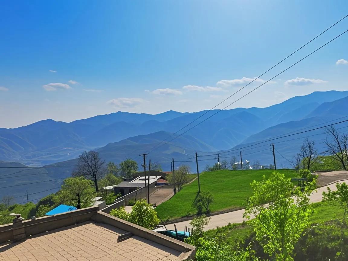 2022年4月19日，一个值得纪念的日子，一个令我伤痛的日子，就是在这个美丽的漂
