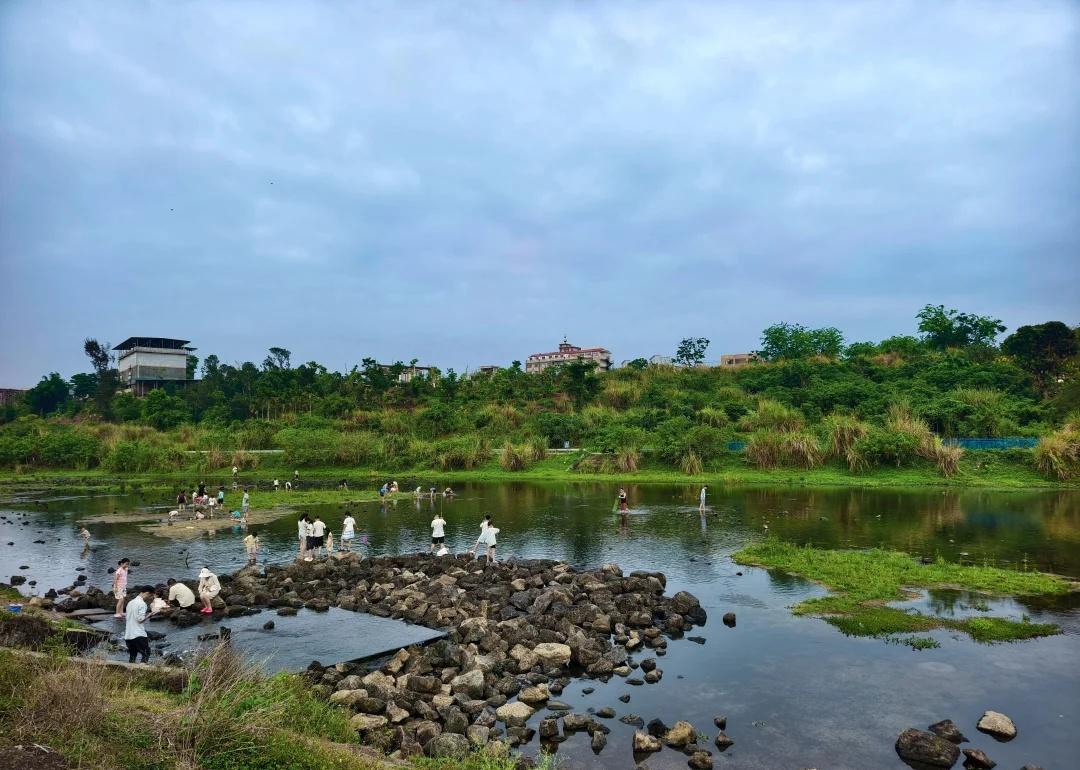 昨日一场喜雨后的原野
倒影里的春天 雨后 与自然相伴 雨后的风景 自然与宁静
海