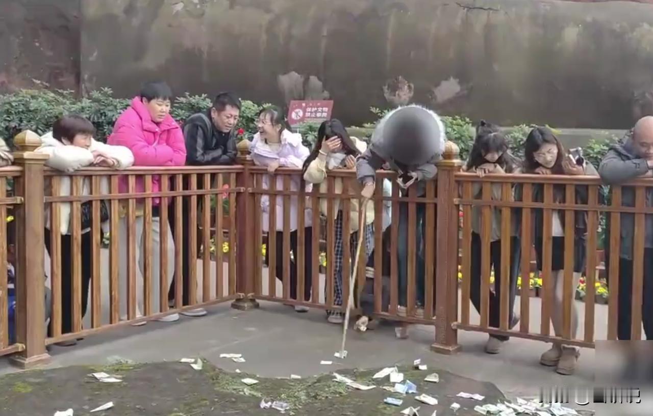 太丢脸了！四川乐山大佛景区，两名女子不顾她人目光，当着众人面用木棍扒走祈福池里的