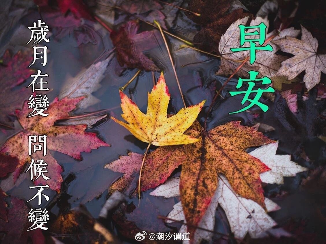 趁年华还在，趁笑靥仍美，趁阳光还明媚闪耀，结束每一个一成不变的日子，去做一个更好