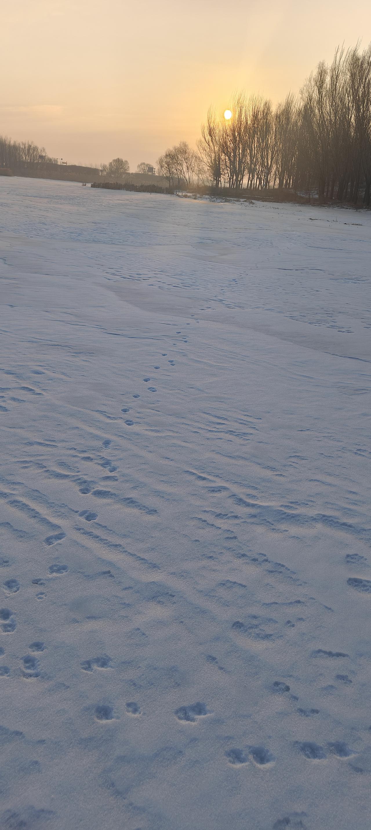 做人坦荡一点不好吗做人坦荡一点谁都知道好，可是坦荡就可能被害一辈子。