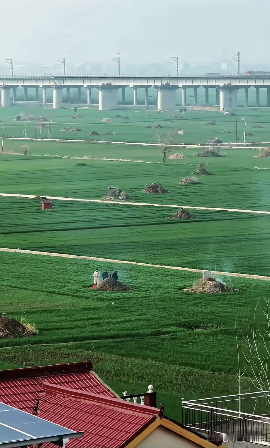 为什么要推行火葬？这一颗颗小土堆，像痘痘一样难看，浪费土地