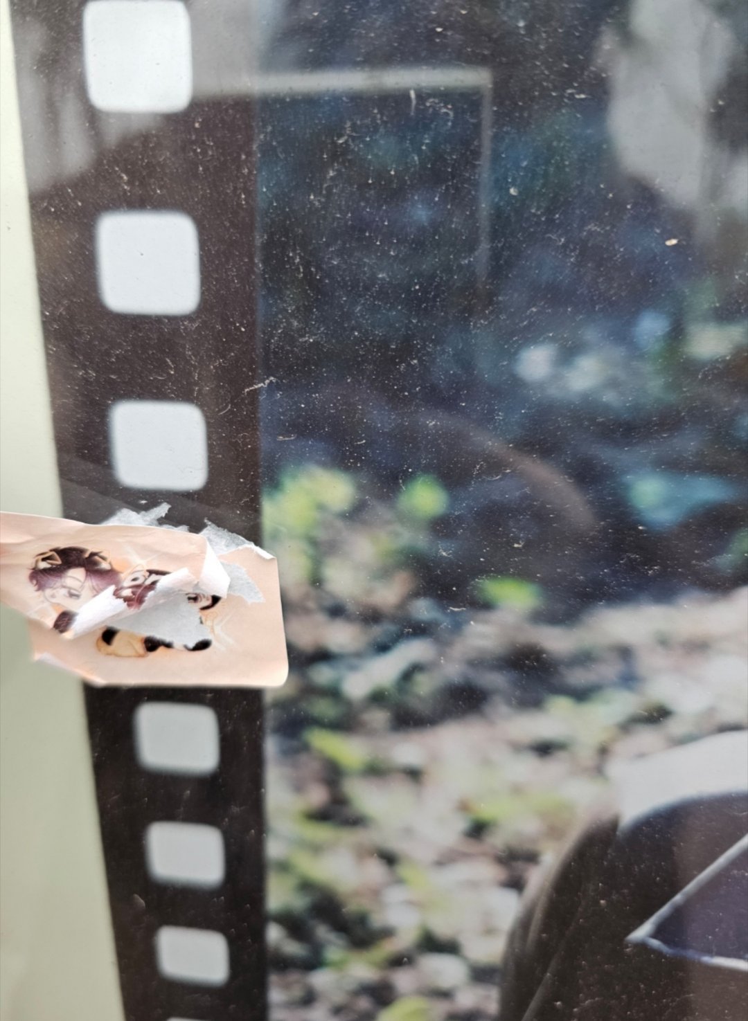 猪饲料能不能有点公德心 随处贴什么雷人小广告 