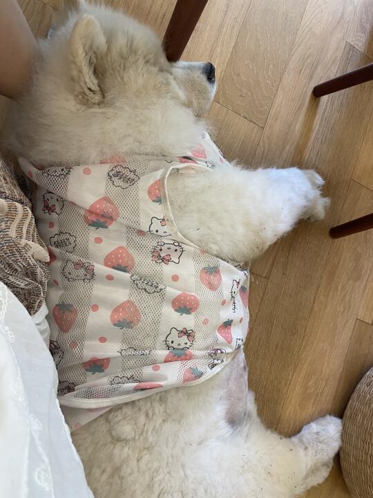 短短的宝宝睡个长长的午觉
