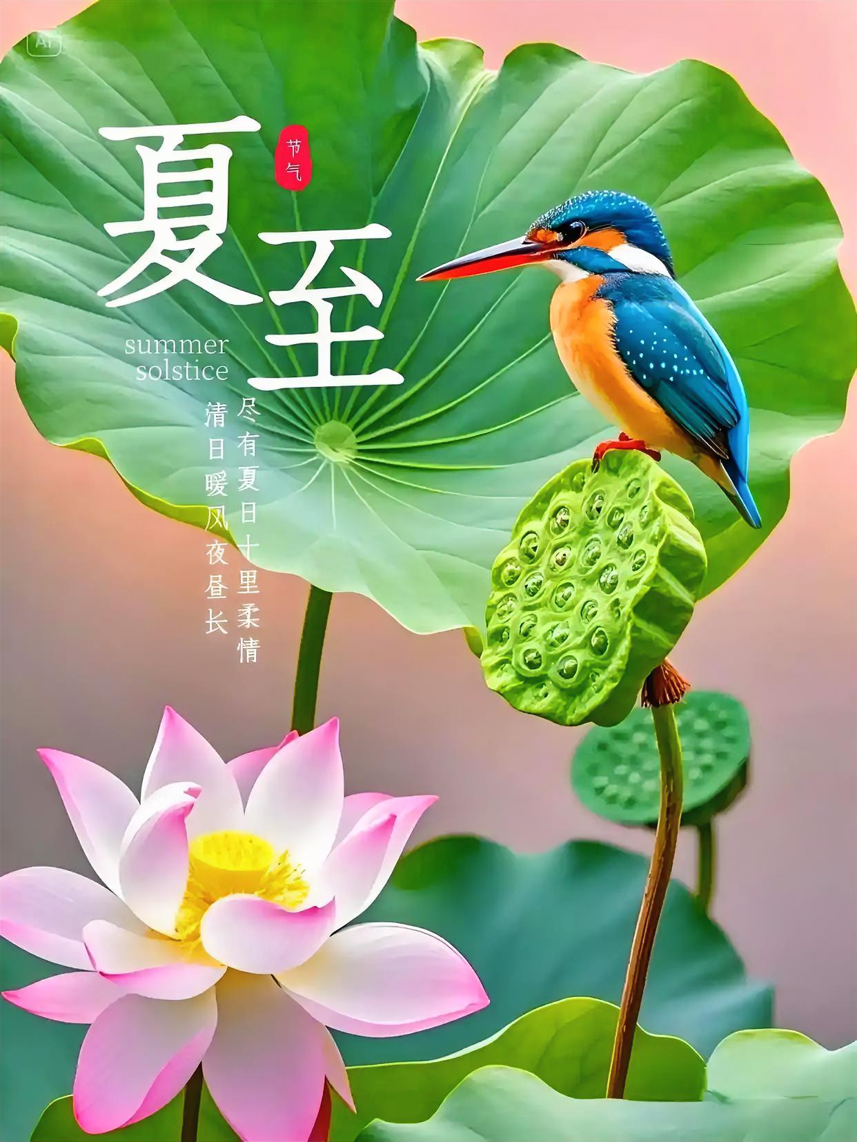 夏至荷塘醉，粉瓣盛放正当时，一盏清茶伴莲香，仲夏暑盛万物并秀，心随花静。
夏至荷