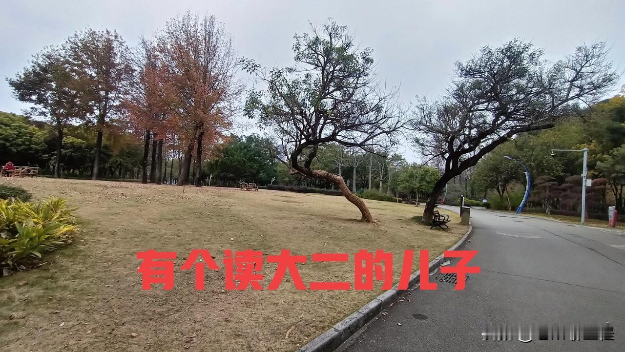 昨晚和读大二的儿子说职业规划，其实有点晚，但没办法，说实话，他有点叛逆，我对他的