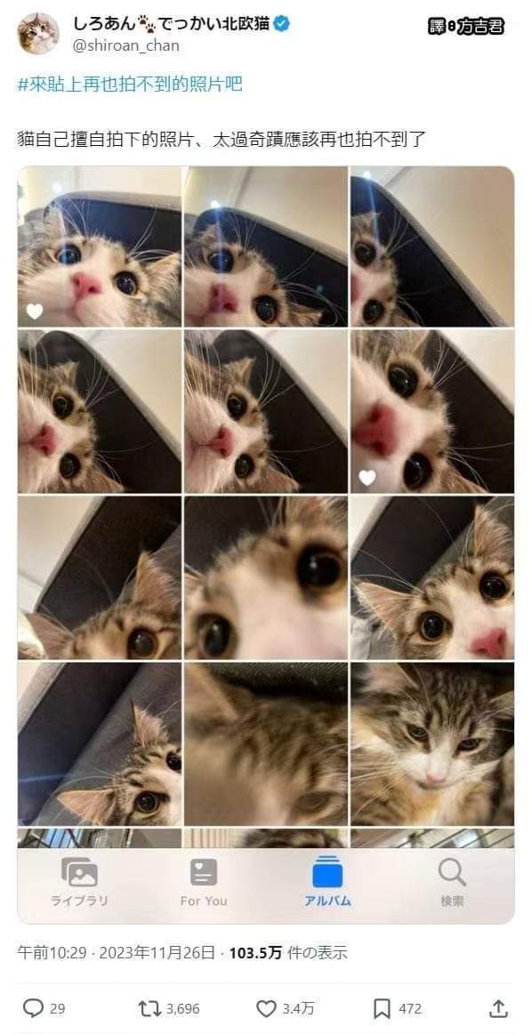 [喵喵] ​​​