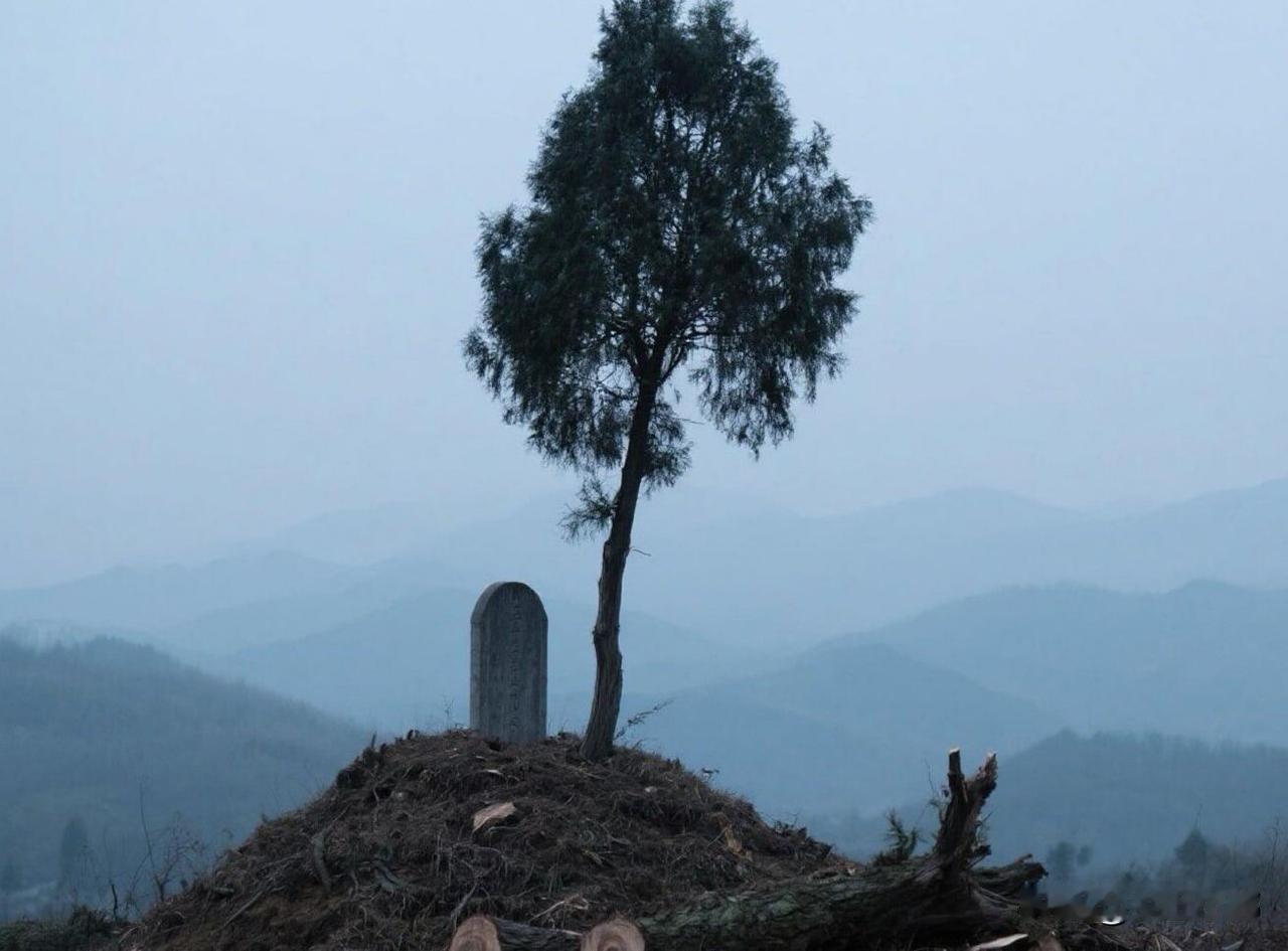 坟头上的树到底能不能砍？记住这2点就行了，不用纠结迷信
 
说起坟地长树，农村十