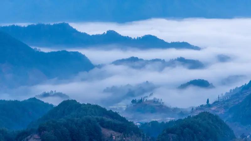 “春山一路花似海，夏水四周柳如织”，这两句简直把春夏美景写到极致。春天的山就是花