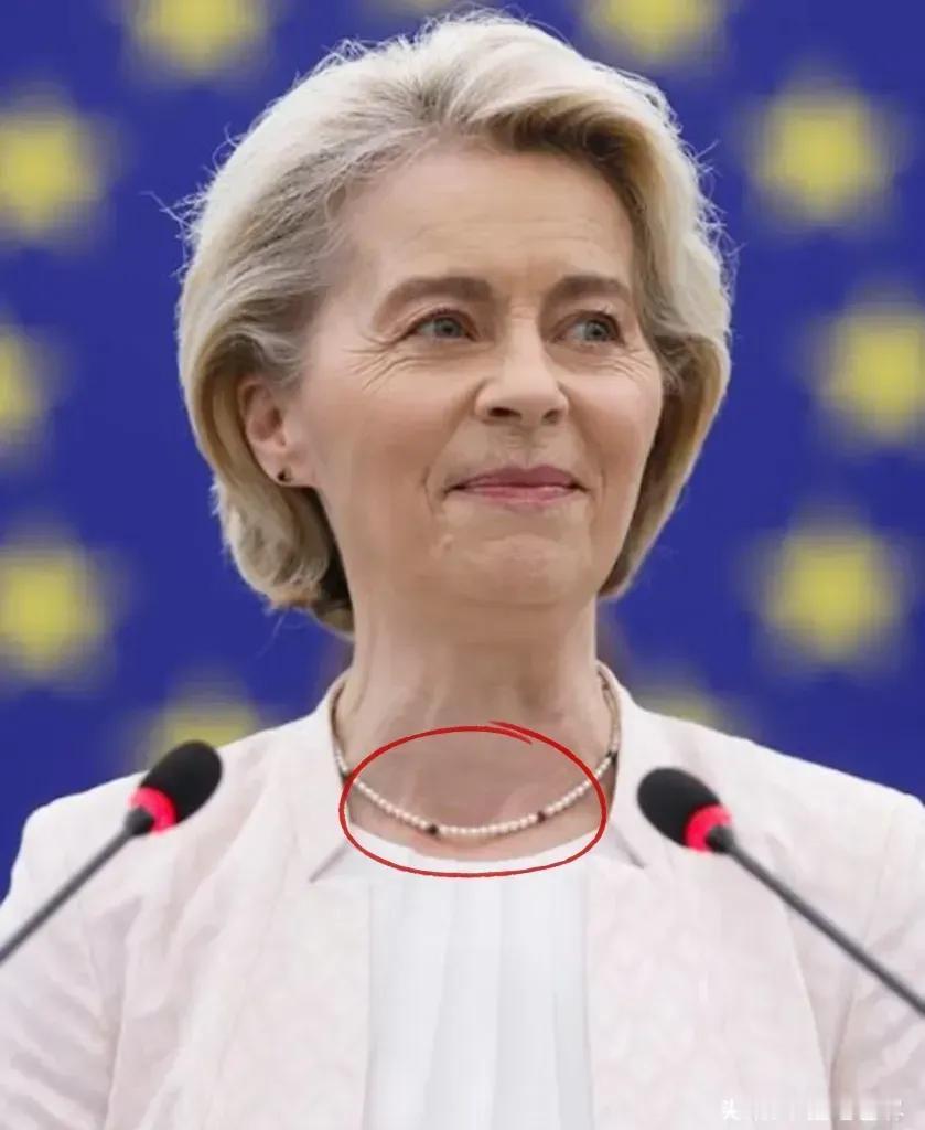 万万没想到！
在冯德莱恩向美国承诺要投资6000亿美元之后，布鲁塞尔迅速出面澄清