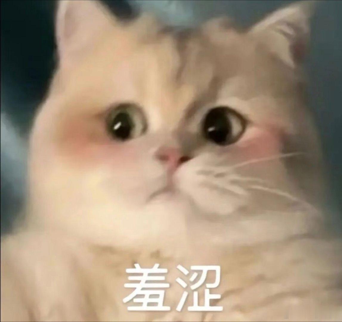 每日表情包分享～ 