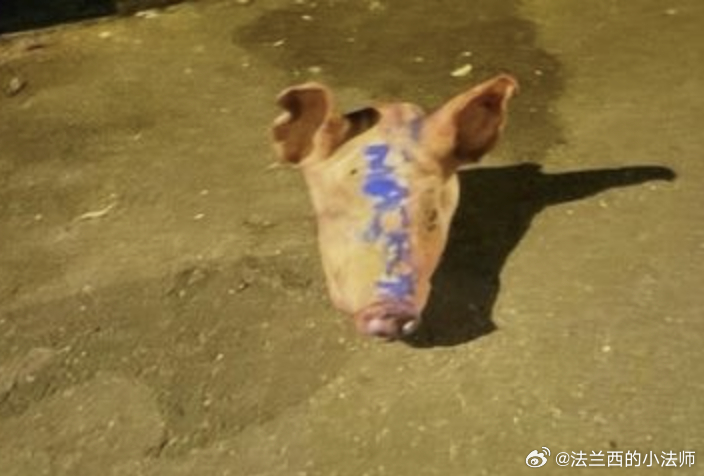 雾草，法国人好猛，昨天往巴黎和巴黎近郊的九座清真寺门口各放了一个大猪头,有的猪头