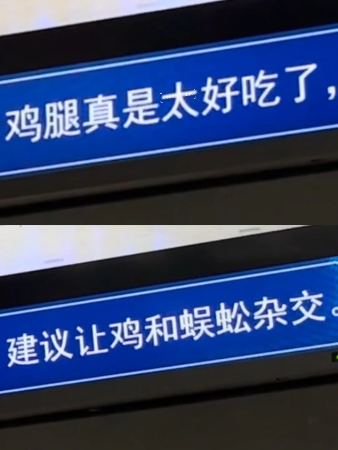 厦门树洞好癫好好笑啊哈哈哈哈