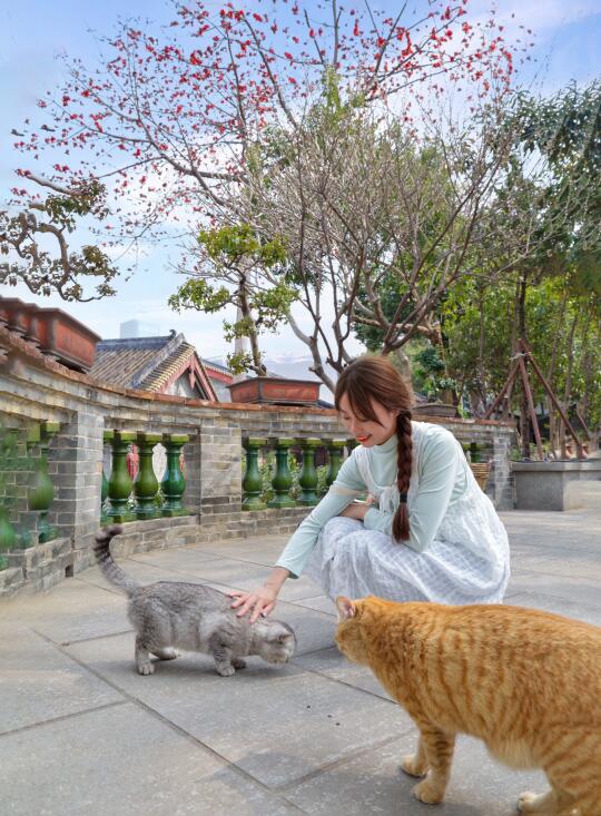 谁懂！广州市区这些地方比请假旅游还治愈‼️