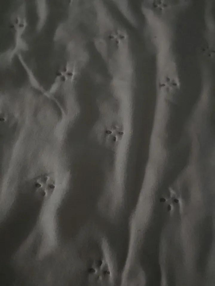 有人被骗是因为人傻钱多吗?被骗的大部分原因都是自己贪，你想赚利息，别人想赚本金，