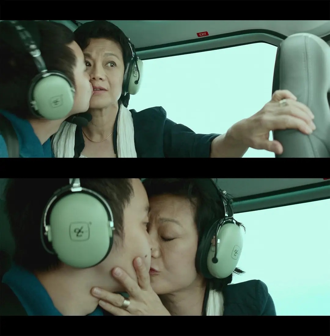 山河故人里张艾嘉和董子健的这段忘年恋，是这十年最美的异性恋。 