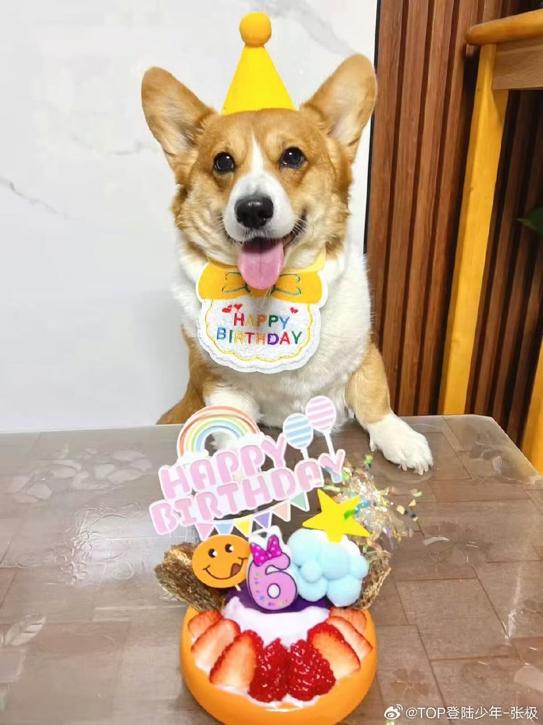 张极的啵啵6岁了张极给啵啵庆6岁生日 张极给啵啵庆6岁生日 