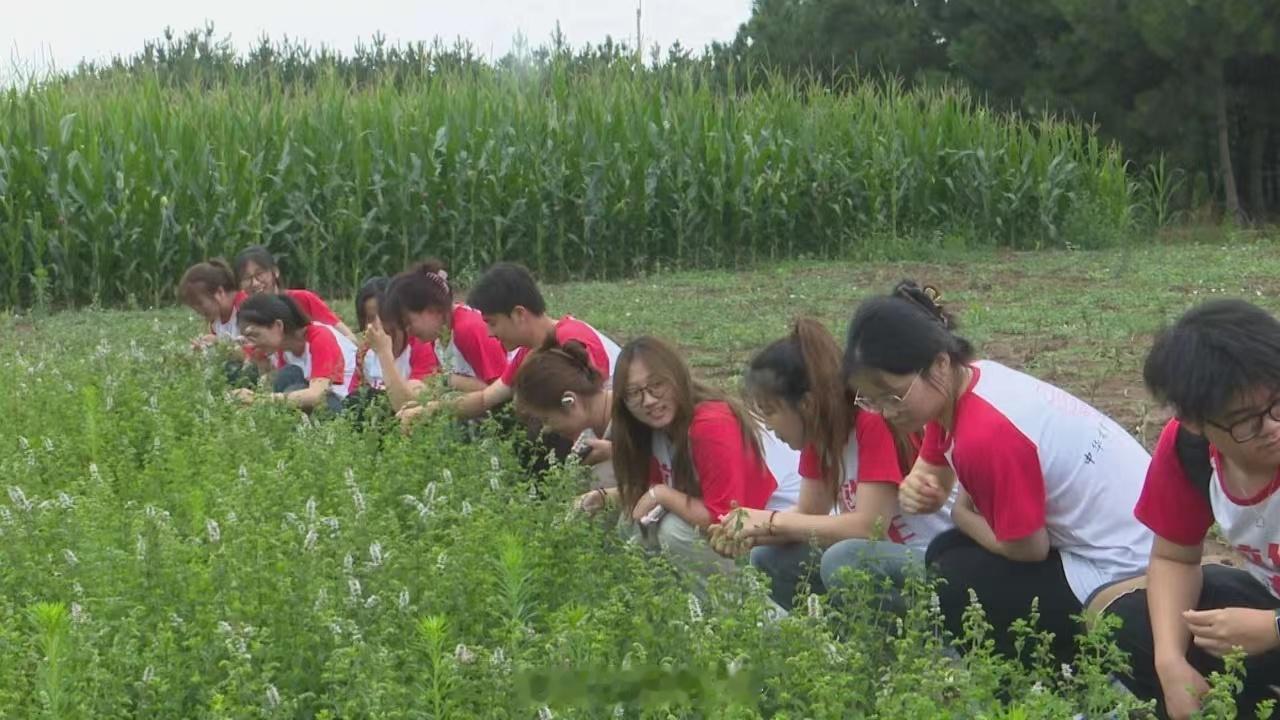 #2024年暑期社会实践活动# 【从百草园到岐黄青年】  近日，西安培华学院下乡