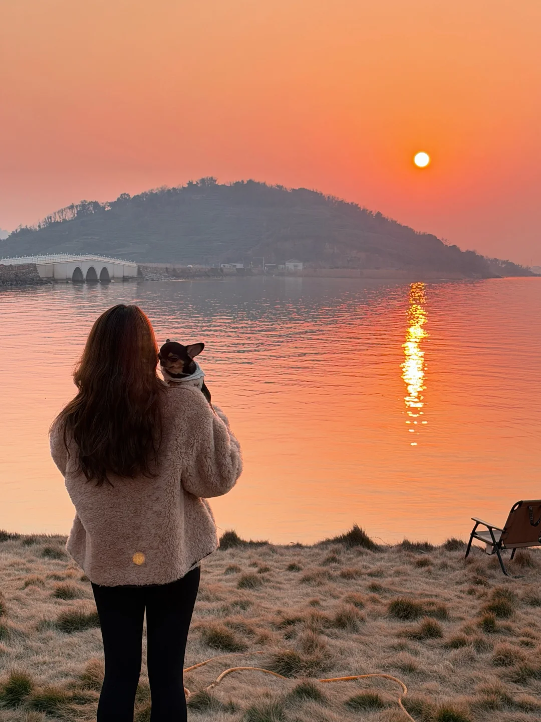 追逐一个橘粉色落日🌅🐶