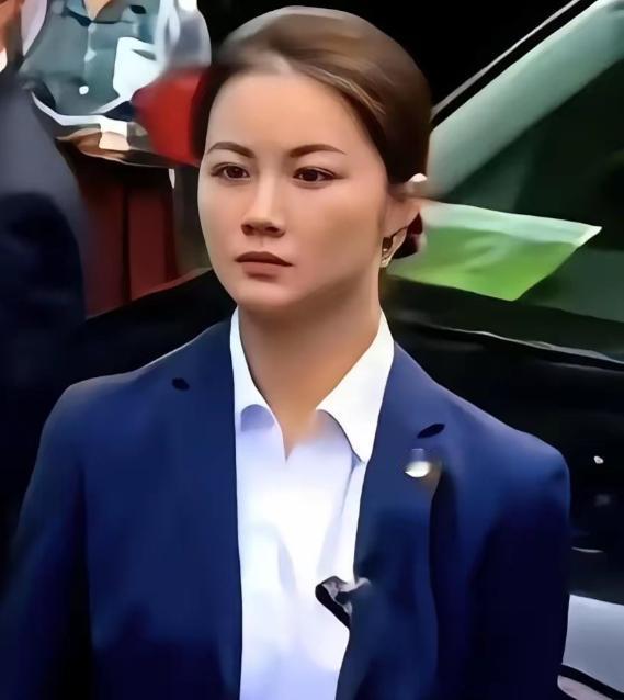 郑丽文在大陆，悄悄问身边安保一个问题，对方的回应，让她半天说不出话。 

从南京